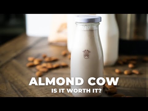 Is the Almond Cow plant-based milk machine worth it?