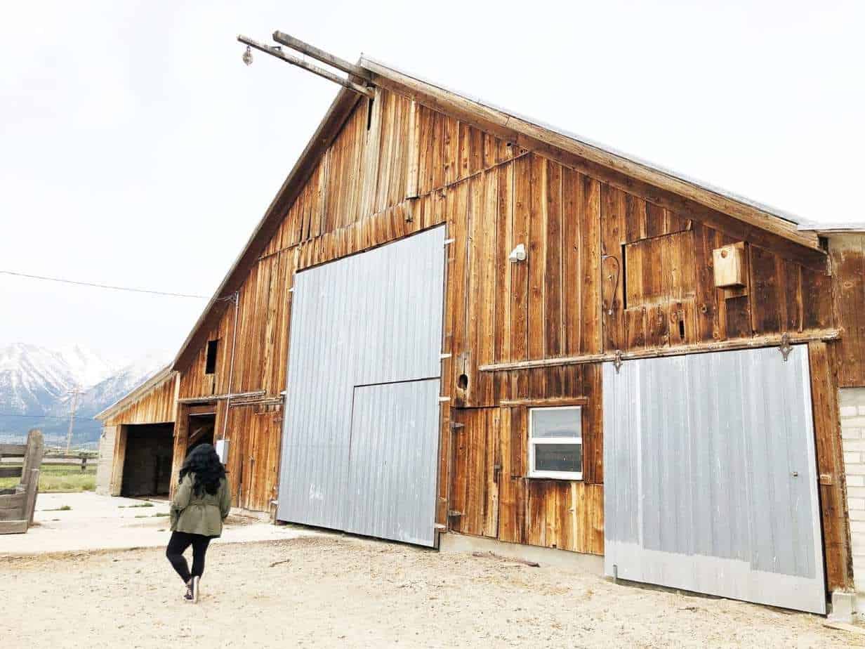 What to do, see and eat in Carson Valley and South Lake Tahoe
