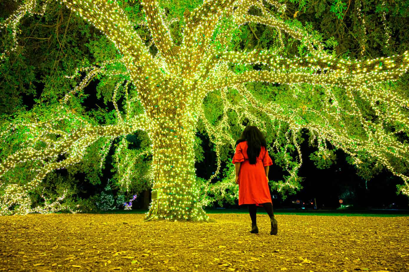 mila clarke buckley in front of Houstonian Hotel Tree