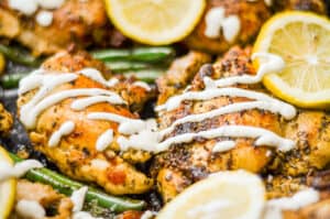 greek style chicken with sauce