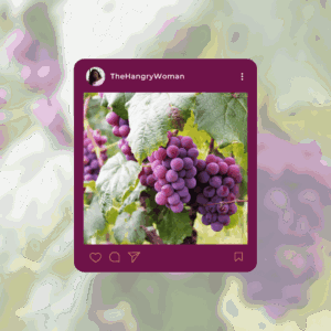 purple grapes on the vine