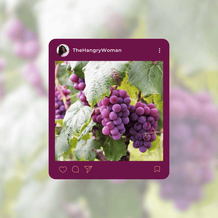purple grapes on the vine