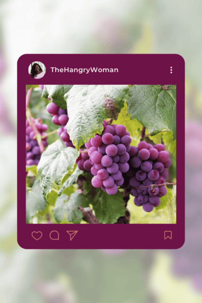 purple grapes on the vine